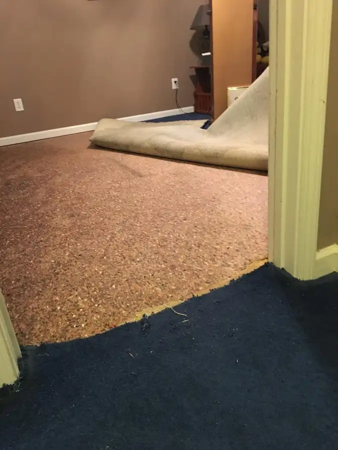 Carpet pad removal revealing water damage during Drying & Dehumidification in Lemon Hill