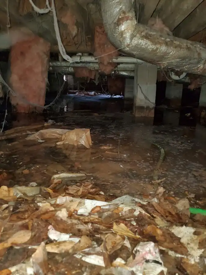 Crawl space flood assessment for Leak Detection & Repair in Lemon Hill