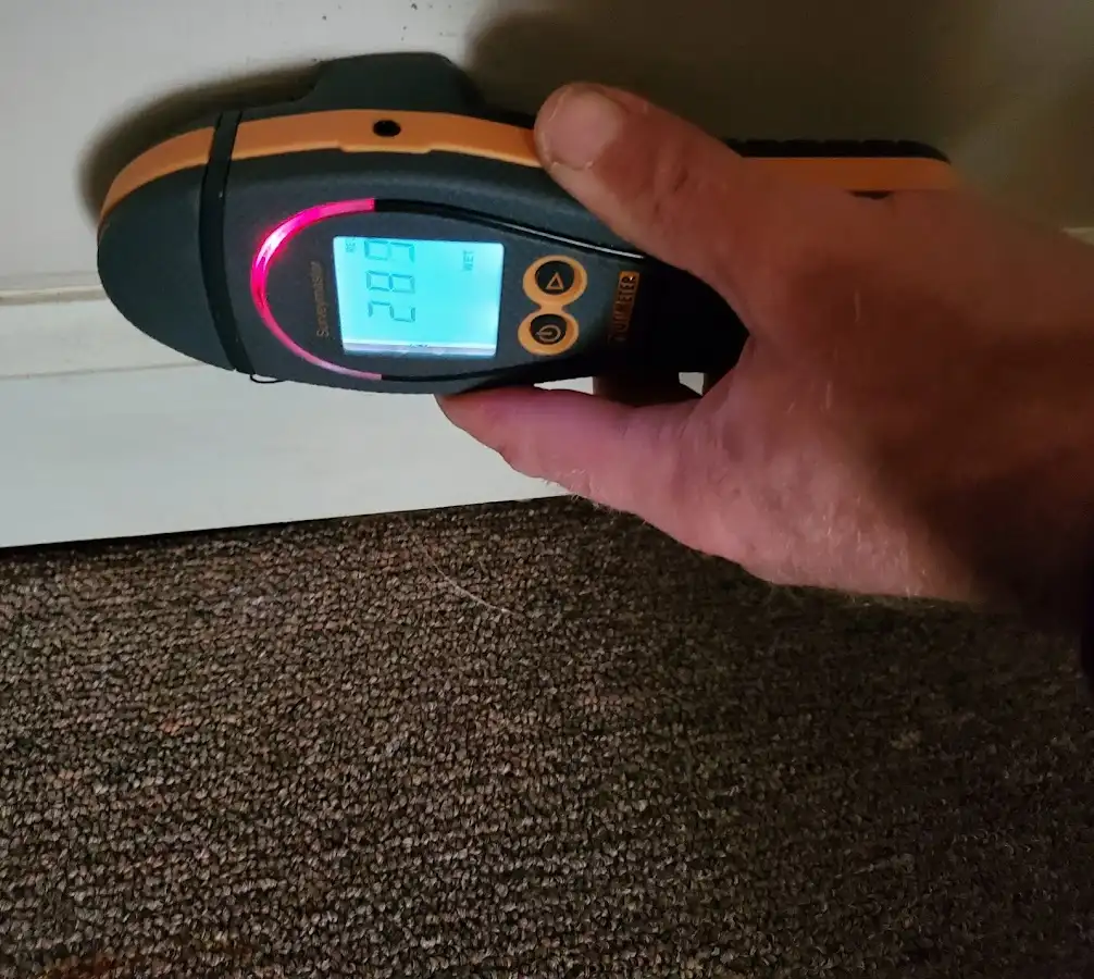 Moisture detection at baseboard during Sewage Cleanup & Sanitation in Lemon Hill